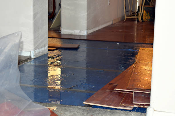 Professional Burst Pipe Cleanup technician working in Lincoln, IL